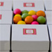 candy store box full of gumballs